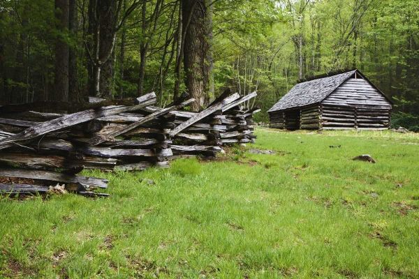 TN, Great Smoky Mts Fence and abandoned stable